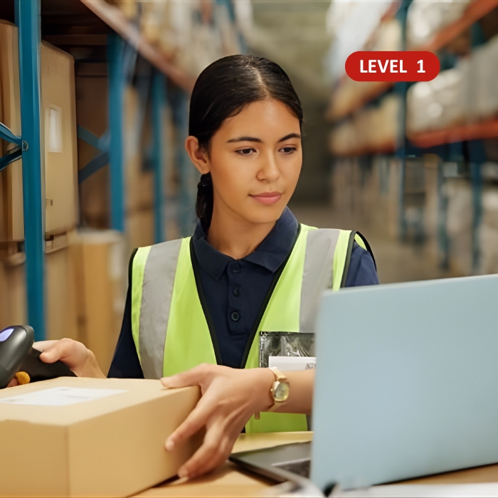 Supply Chain Visibility and Digitalisation